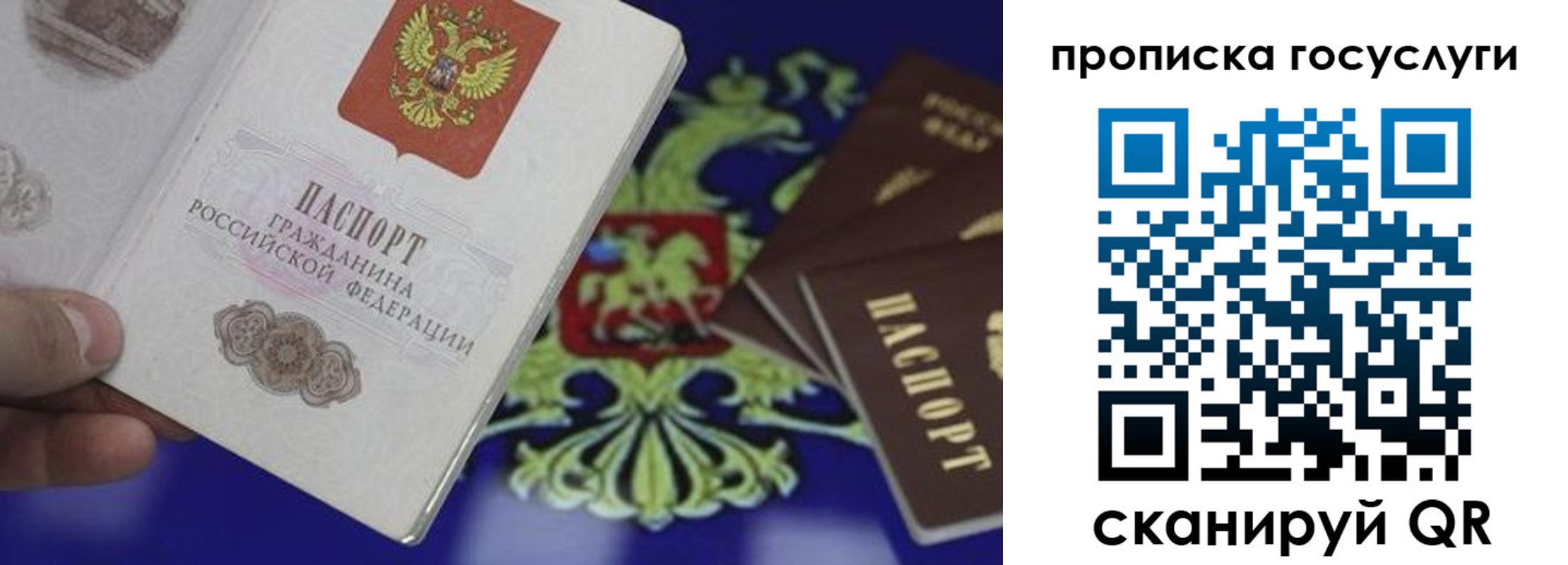 прописка для школы в Гурьевске